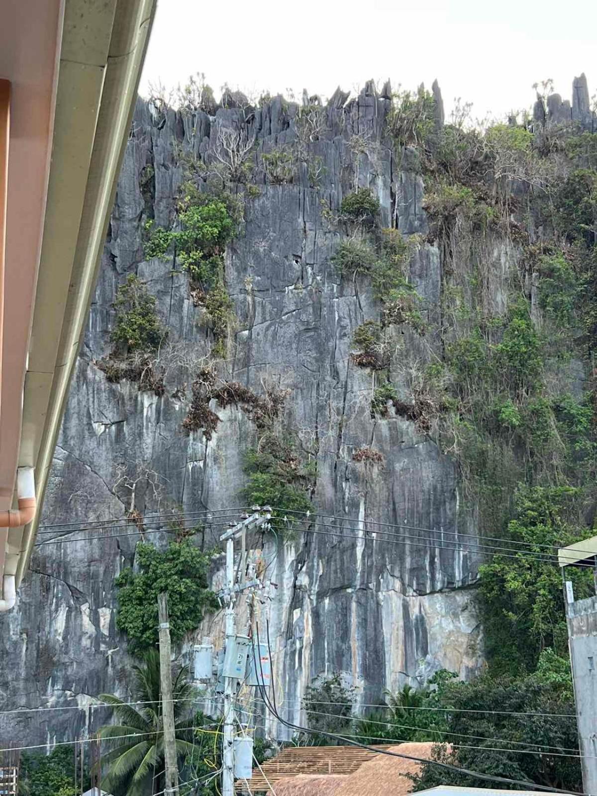 Vencejos Inn - El Nido Exterior foto